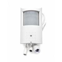 Spy camera with 4g SIM card in motion sensor