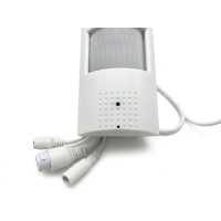 Spy camera with 4g SIM card in motion sensor