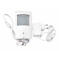 Spy camera with 4g SIM card in motion sensor