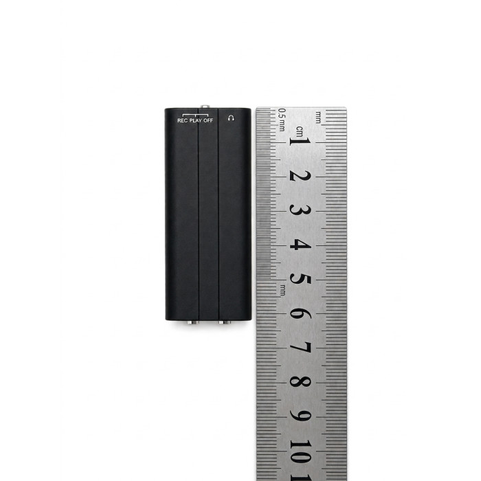 Voice recorder mini