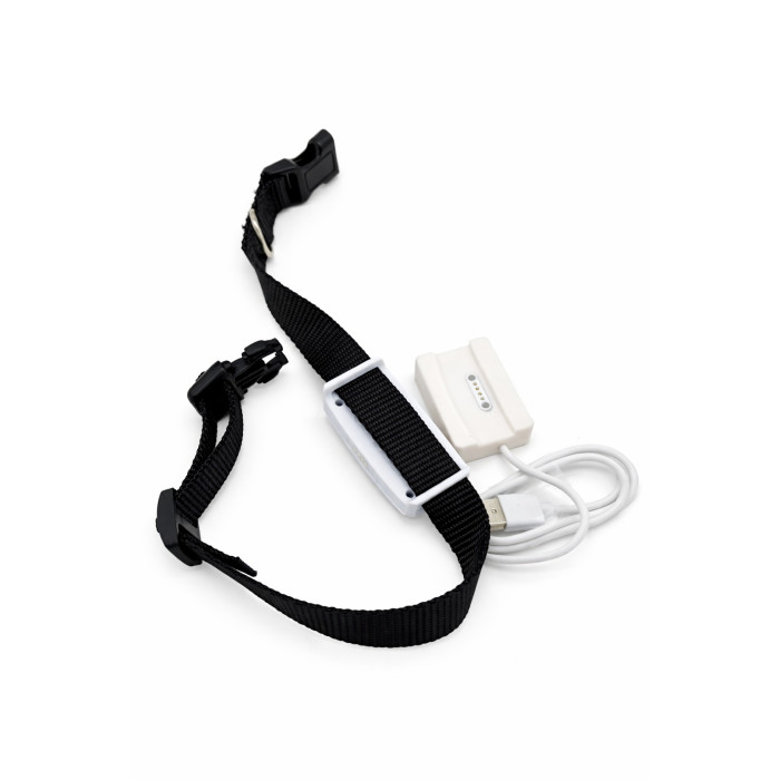 GPS tracker for dogs
