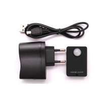 GSM bug PIR