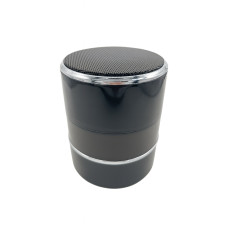 Hidden IP camera in bluetooth speaker