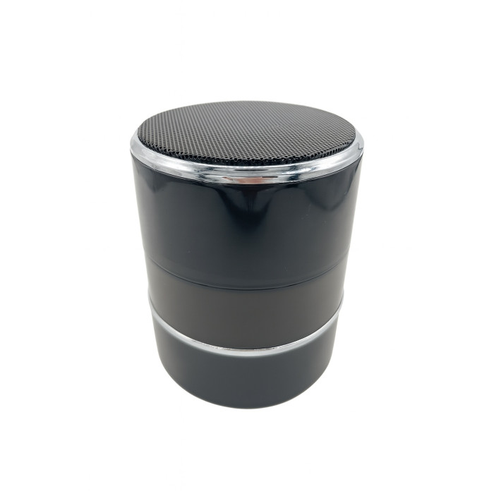 Hidden IP camera in bluetooth speaker