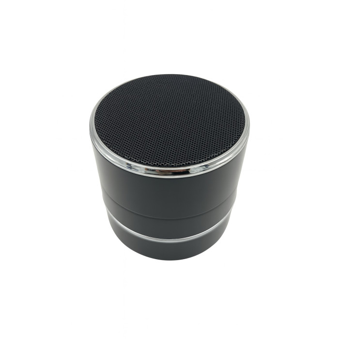 Hidden IP camera in bluetooth speaker