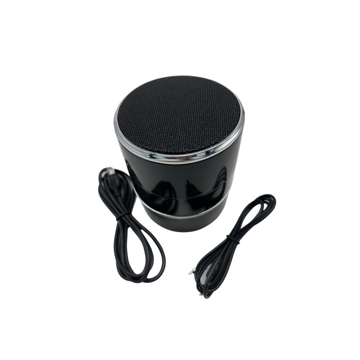 Hidden IP camera in bluetooth speaker