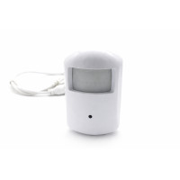 IP WiFi motion detector camera in alarm sensor