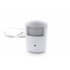 IP WiFi motion detector camera in alarm sensor