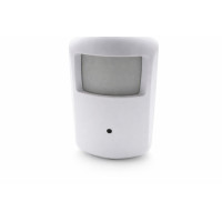 IP WiFi motion detector camera in alarm sensor