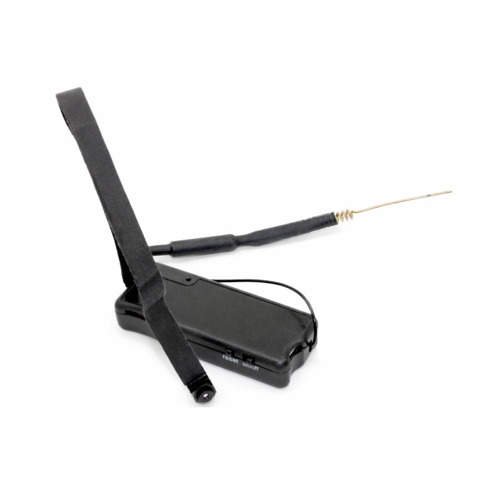 Hidden IP camera