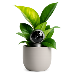 HIDDEN SPY CAMERAS