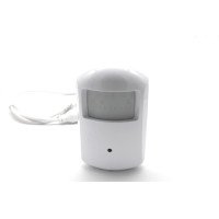 IP WIFI MOTION DETECTOR CAMERA